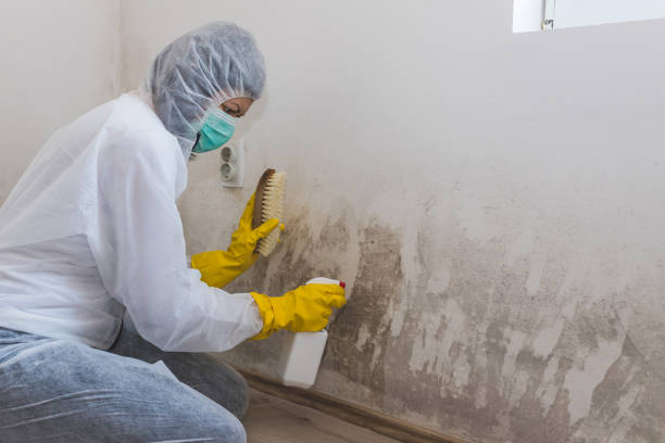 Best Certified Mold Removal  in Glasgow, DE