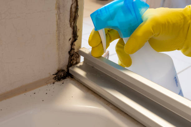 Best Attic Mold Removal  in Glasgow, DE