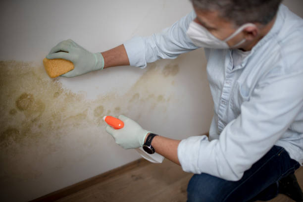 Best Professional Mold Removal  in Glasgow, DE
